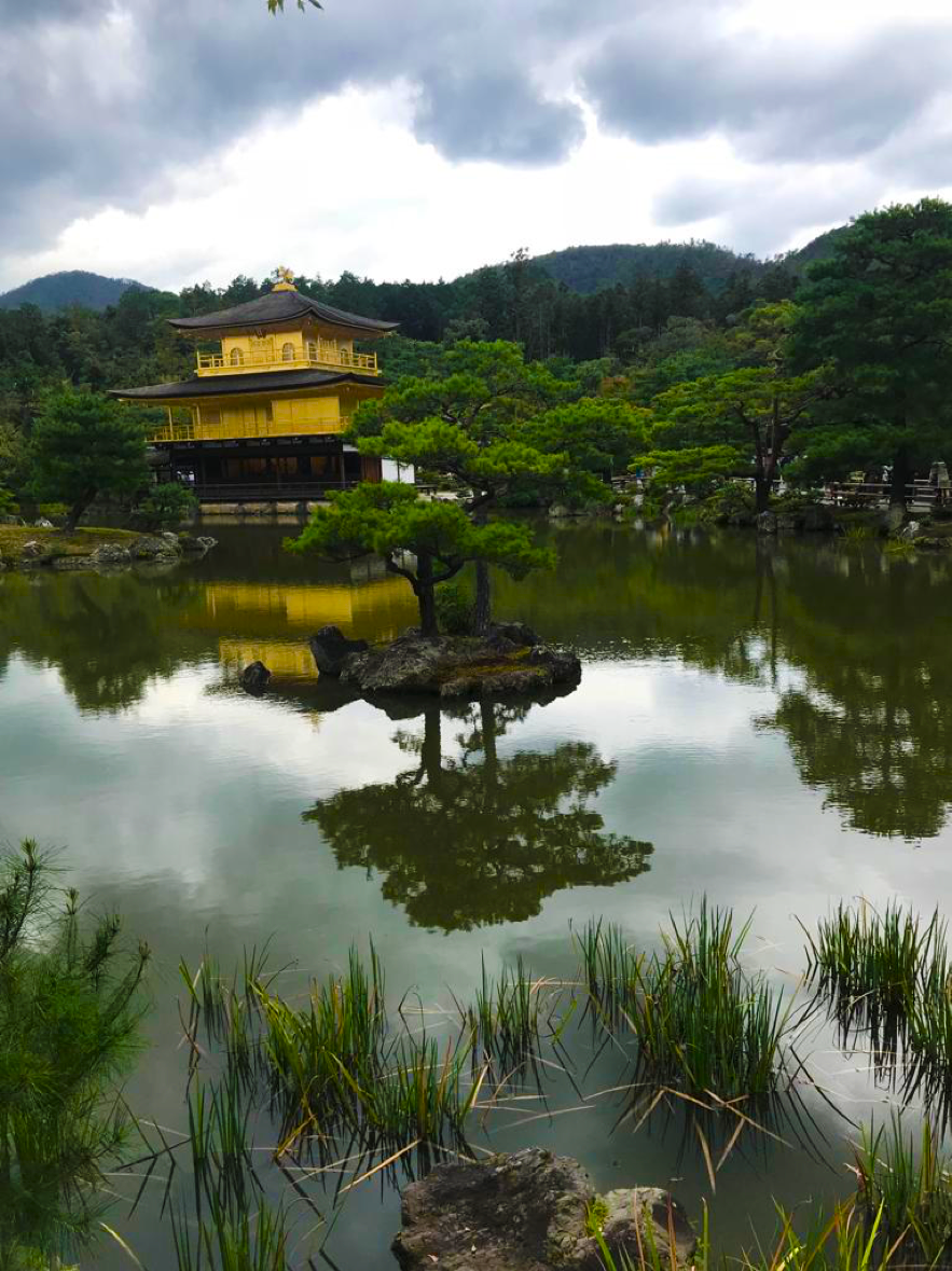 Dolores Amden. Fotografia. “Kinkaku-ji” ; nombre informal del Rokuon-ji.Templo del jardín de los ciervos. Psicoanalista. Argentina